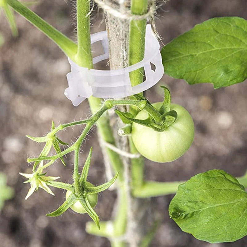 PlantClips – Wiederverwendbare Pflanzenstützen-Clips, 100er Set