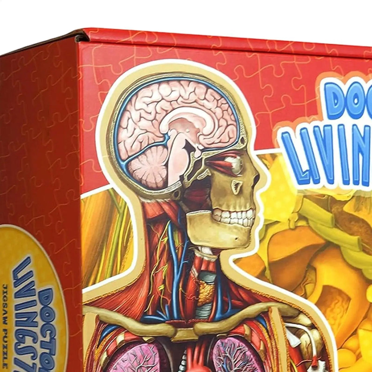 BodyPuzzle – Pädagogisches Anatomie-Puzzle für Kinder