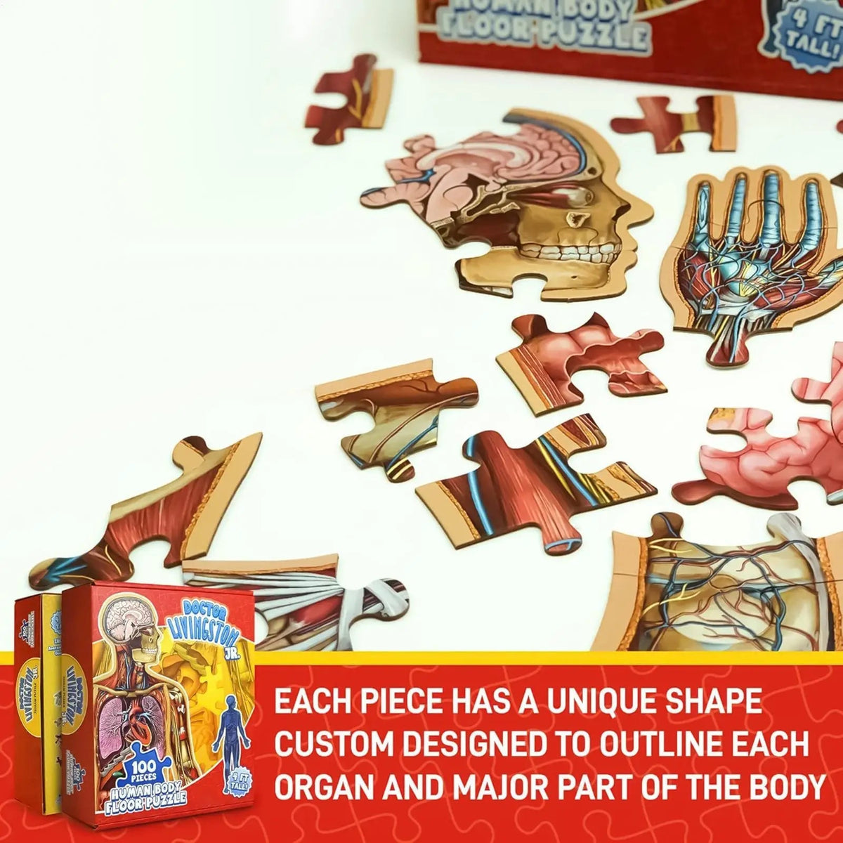 BodyPuzzle – Pädagogisches Anatomie-Puzzle für Kinder