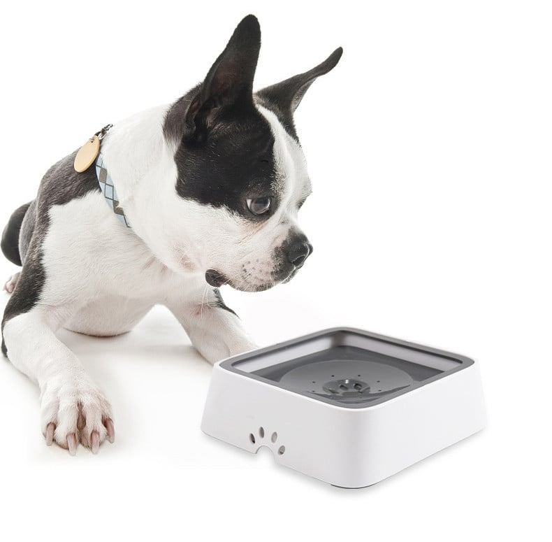 PetWater No-Splash Trinknapf Für Haustiere