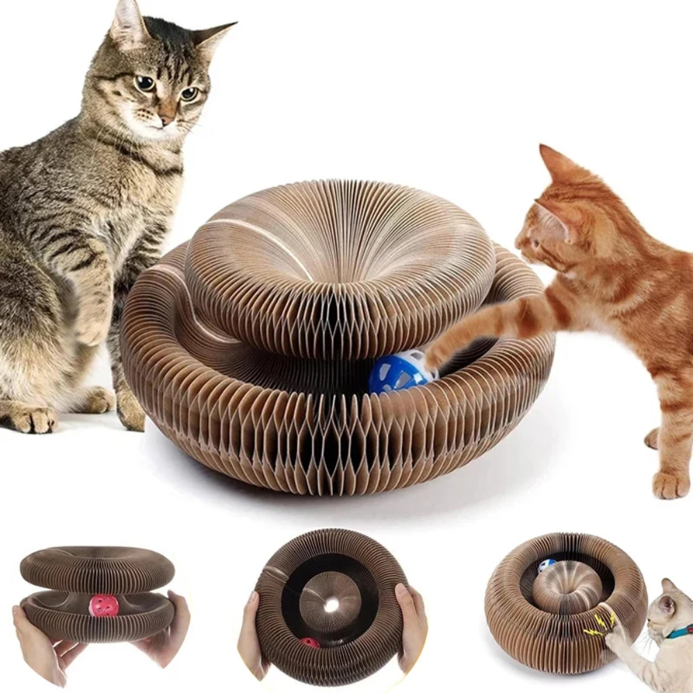 Zwei Katzen spielen mit der Catfri FoldScratcher und dem Glöckchenball