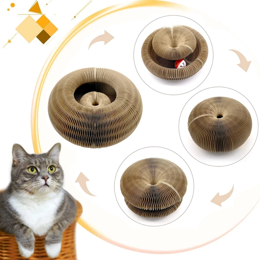 Vier Verwandlungsschritte der Catfri FoldScratcher mit grauer Katze