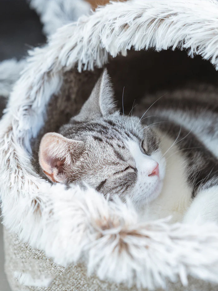 CozyCat Warmes Kuschelnest Für Katzen