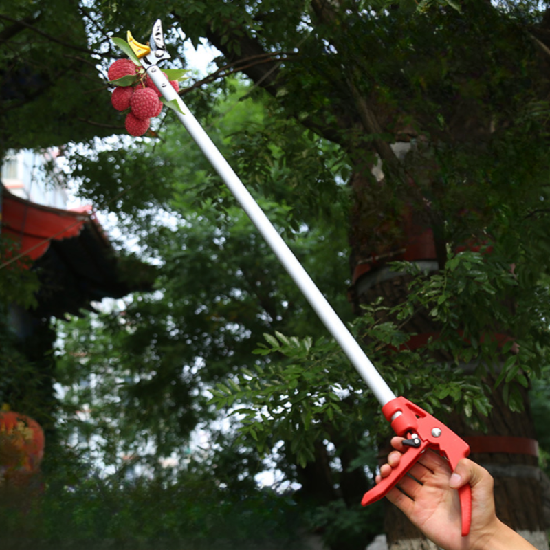 FruitPicker – Obstpflücker mit Verlängerung, Ohne Klettern
