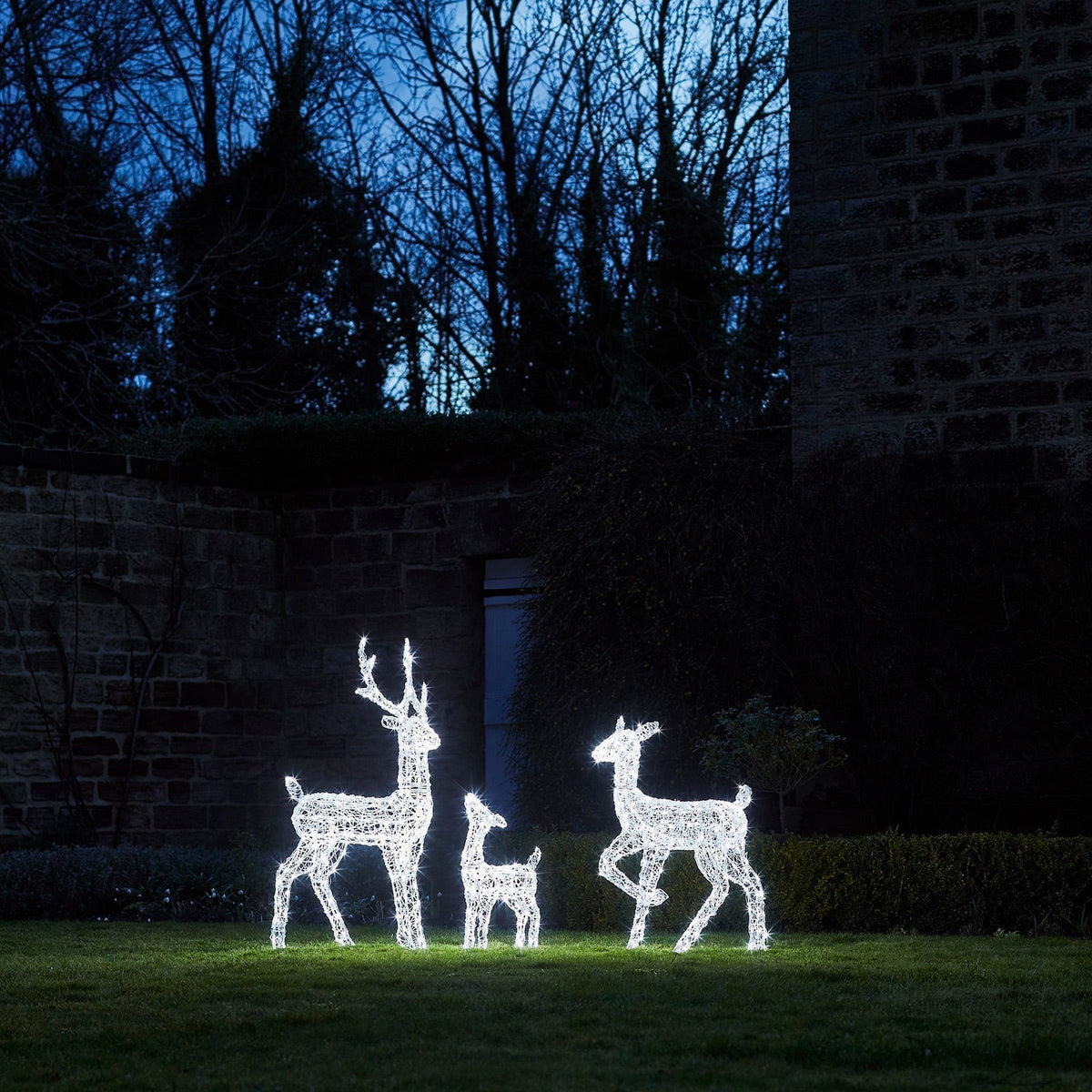 LED Rentierfamilie Outdoor – 540 LEDs, Timer-Funktion