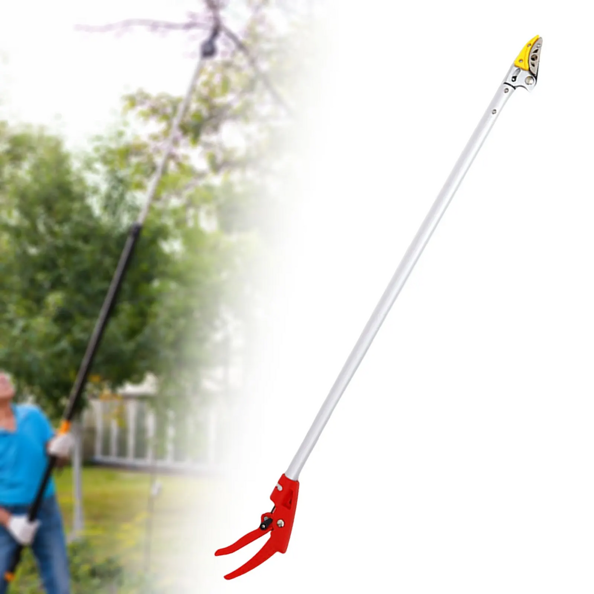 FruitPicker – Obstpflücker mit Verlängerung, Ohne Klettern