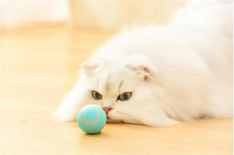 DogCatFri HuntingToy Produktfoto