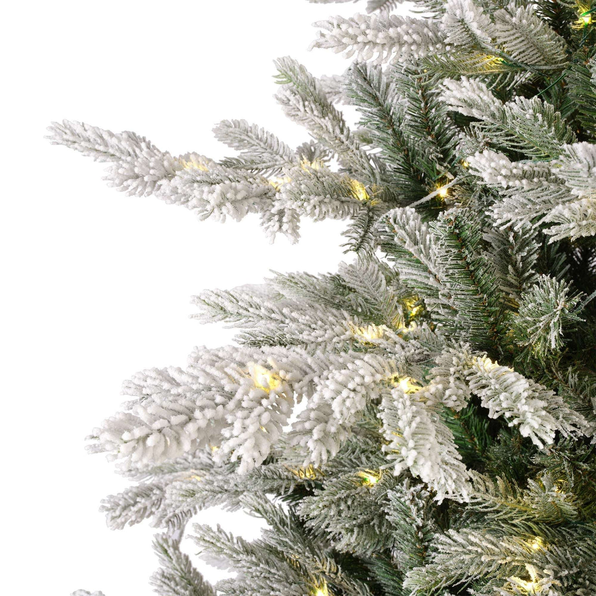 Premium Tanne "Grandis Fir" verschneit mit warmweißer Beleuchtung – 240 cm