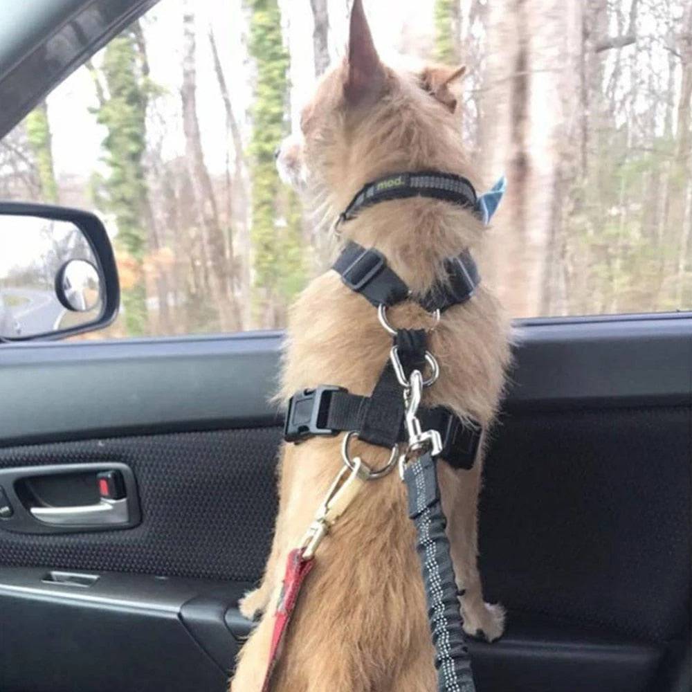 PawGuard Hunde-Sicherheitsgurt Fürs Auto