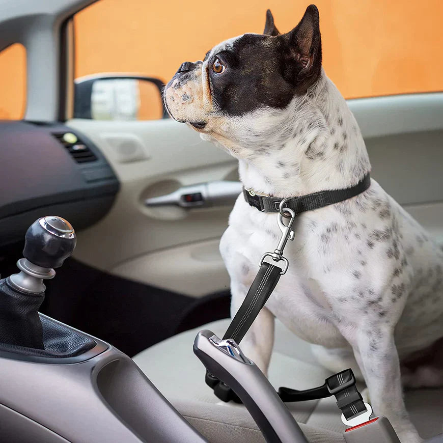 PawGuard Hunde-Sicherheitsgurt Fürs Auto