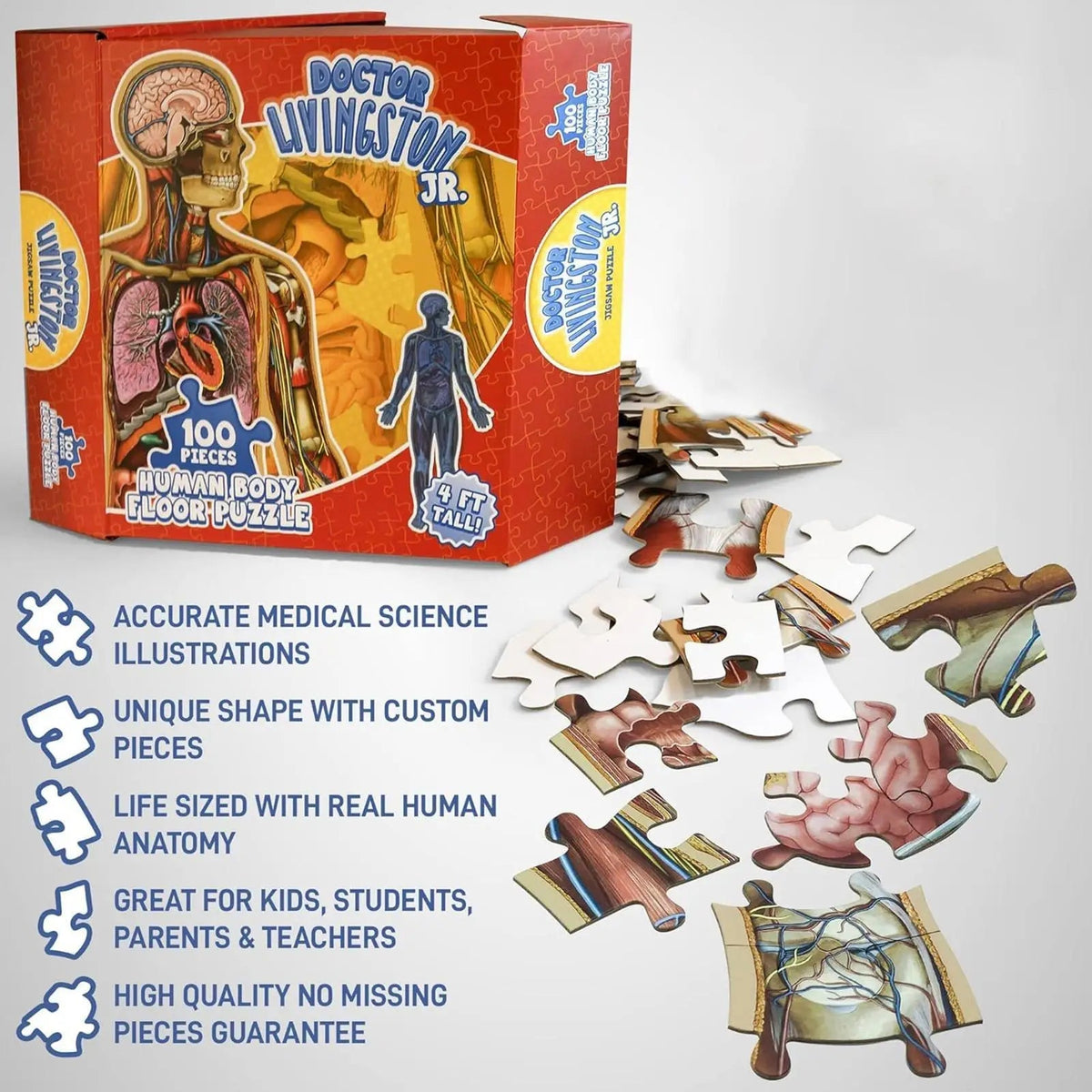 BodyPuzzle – Pädagogisches Anatomie-Puzzle für Kinder
