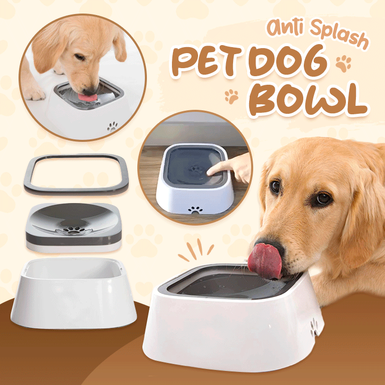 PetWater No-Splash Trinknapf Für Haustiere