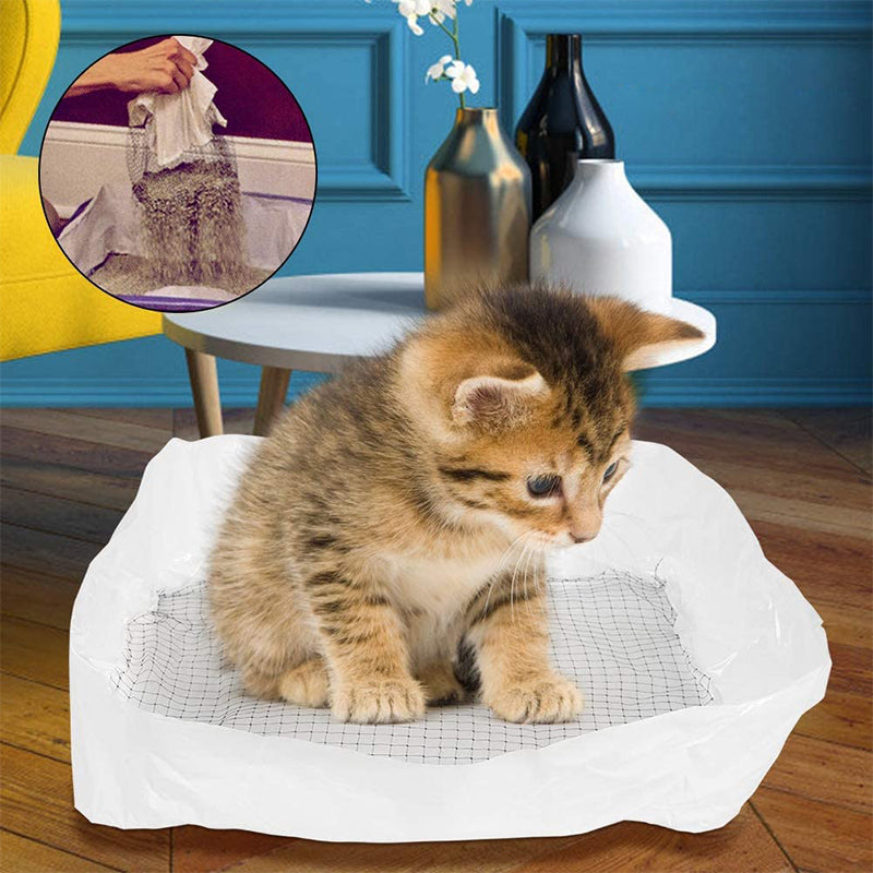 Catfri WasteFilter bessere Hygiene fuer Katze
