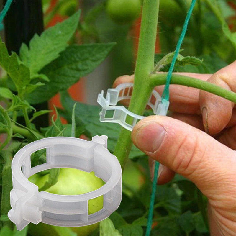 PlantClips – Wiederverwendbare Pflanzenstützen-Clips, 100er Set
