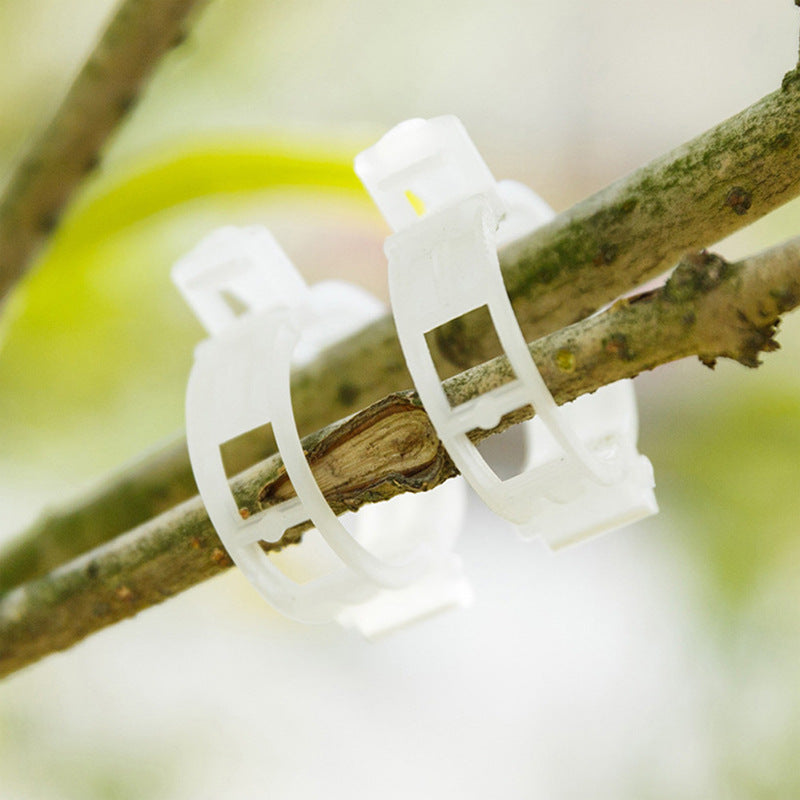 PlantClips – Wiederverwendbare Pflanzenstützen-Clips, 100er Set