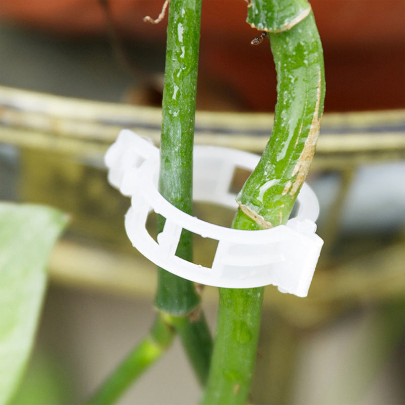 PlantClips – Wiederverwendbare Pflanzenstützen-Clips, 100er Set