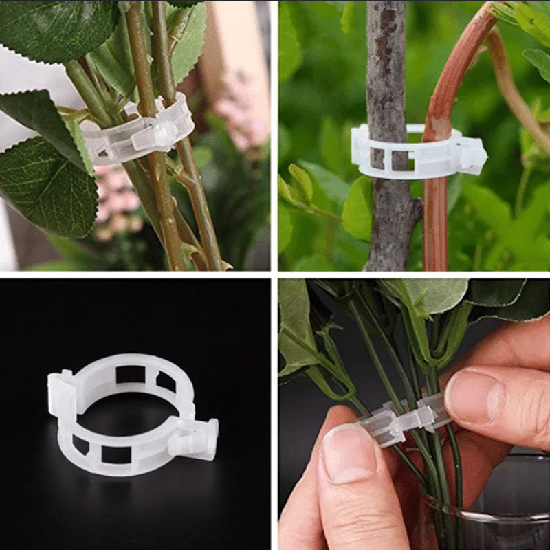 PlantClips – Wiederverwendbare Pflanzenstützen-Clips, 100er Set