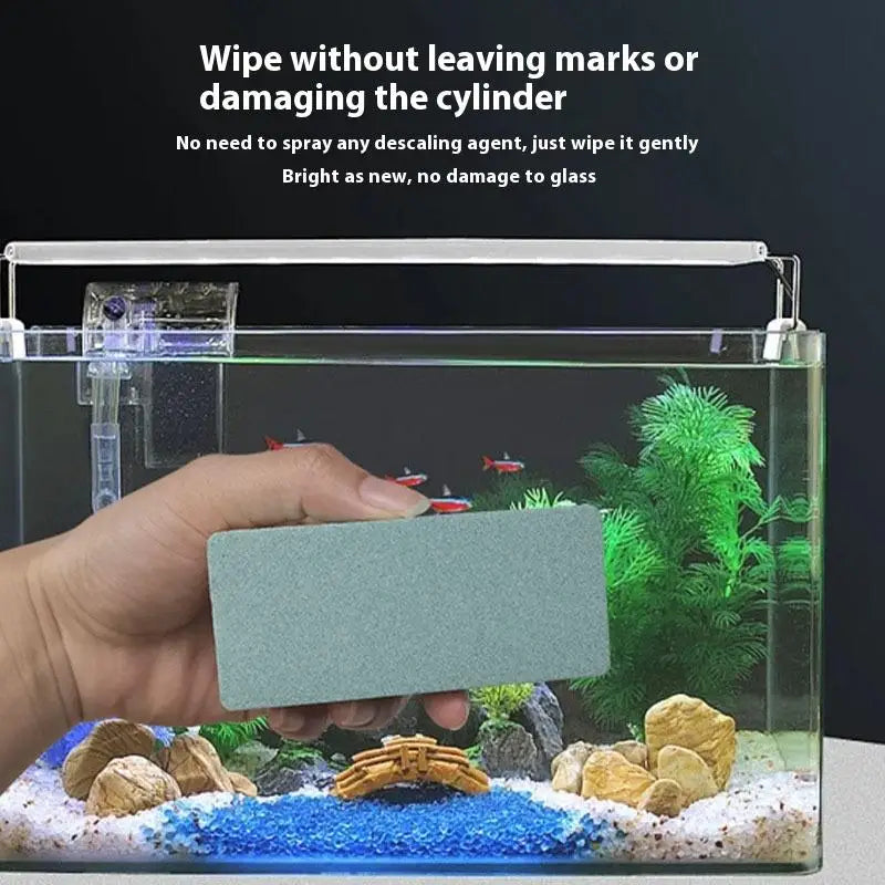 PolishingBlock wird zum Abwischen einer Aquarienglasscheibe verwendet