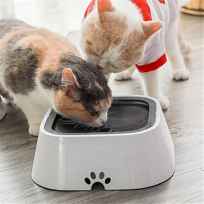 PetWater No-Splash Trinknapf Für Haustiere