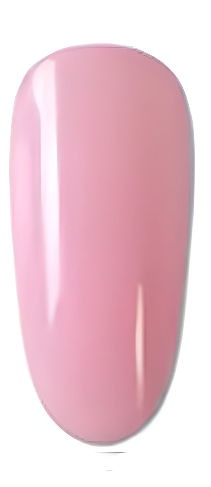 NailPen Professioneller Gel-Maniküre-Stift
