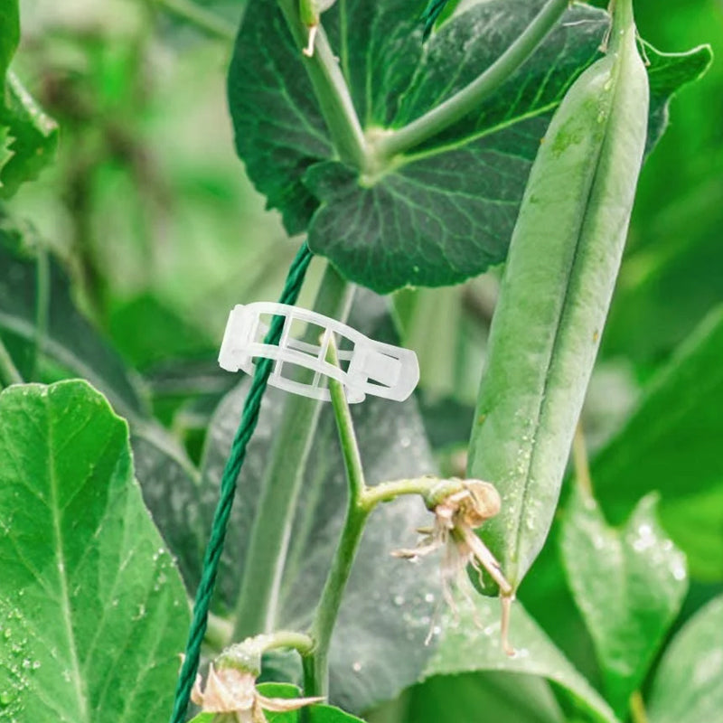 PlantClips – Wiederverwendbare Pflanzenstützen-Clips, 100er Set
