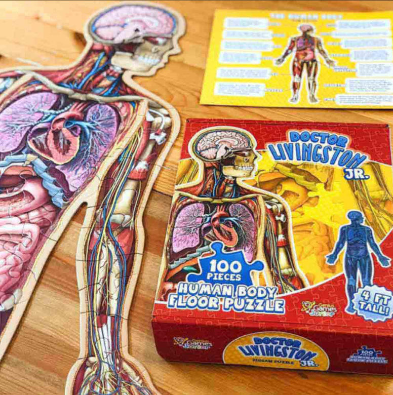BodyPuzzle – Pädagogisches Anatomie-Puzzle für Kinder