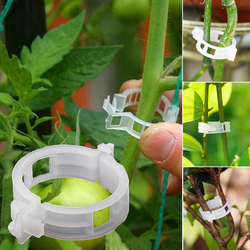 PlantClips – Wiederverwendbare Pflanzenstützen-Clips, 100er Set