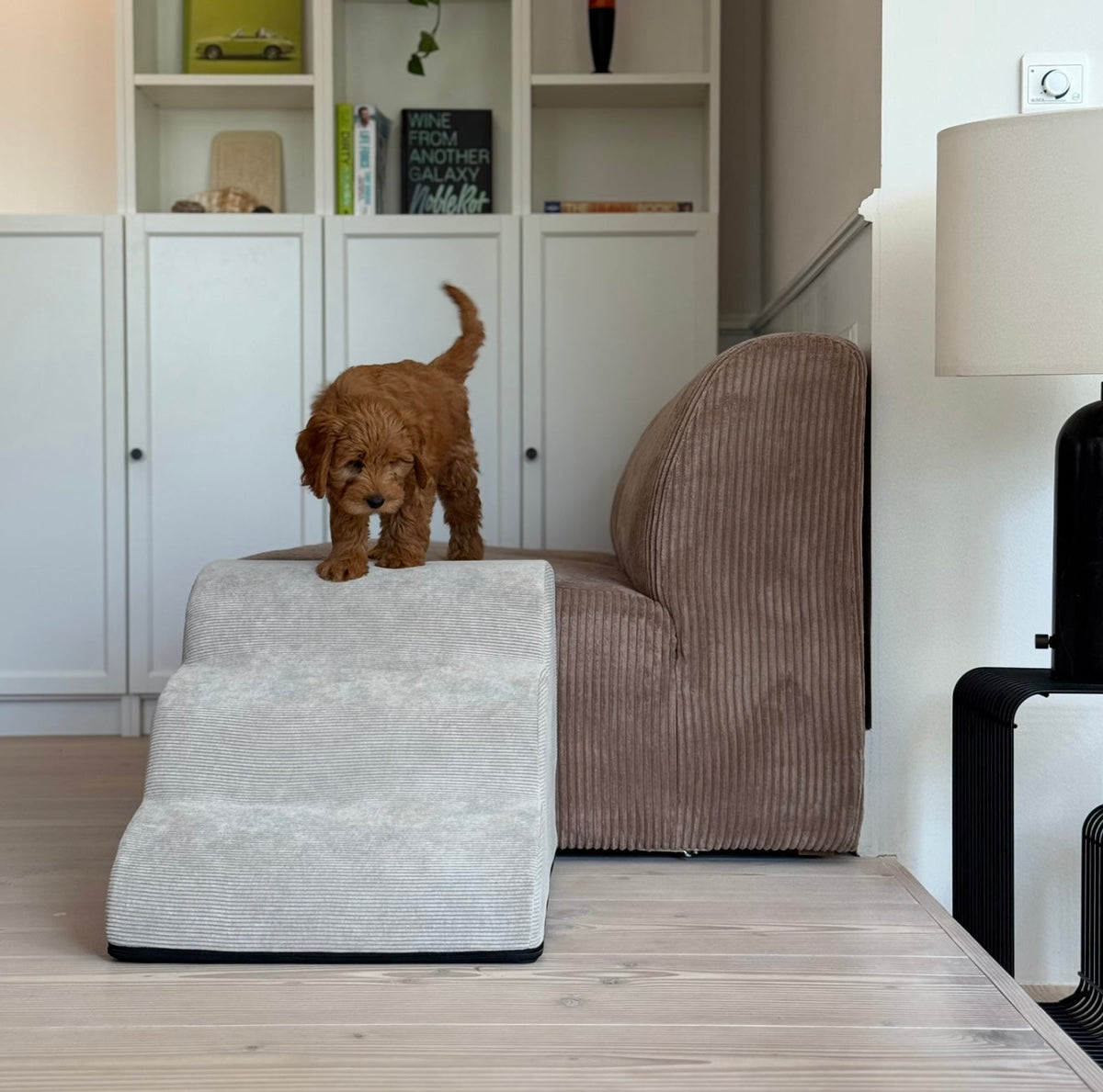 CouchStairs – Haustierstufen für Couch und Bett