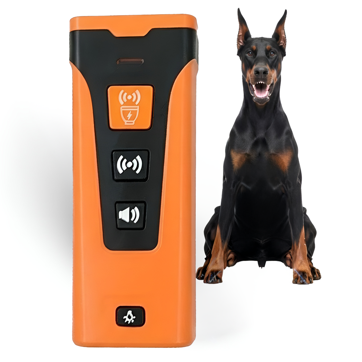 DogFri PetTrainer, Lieferumfang
