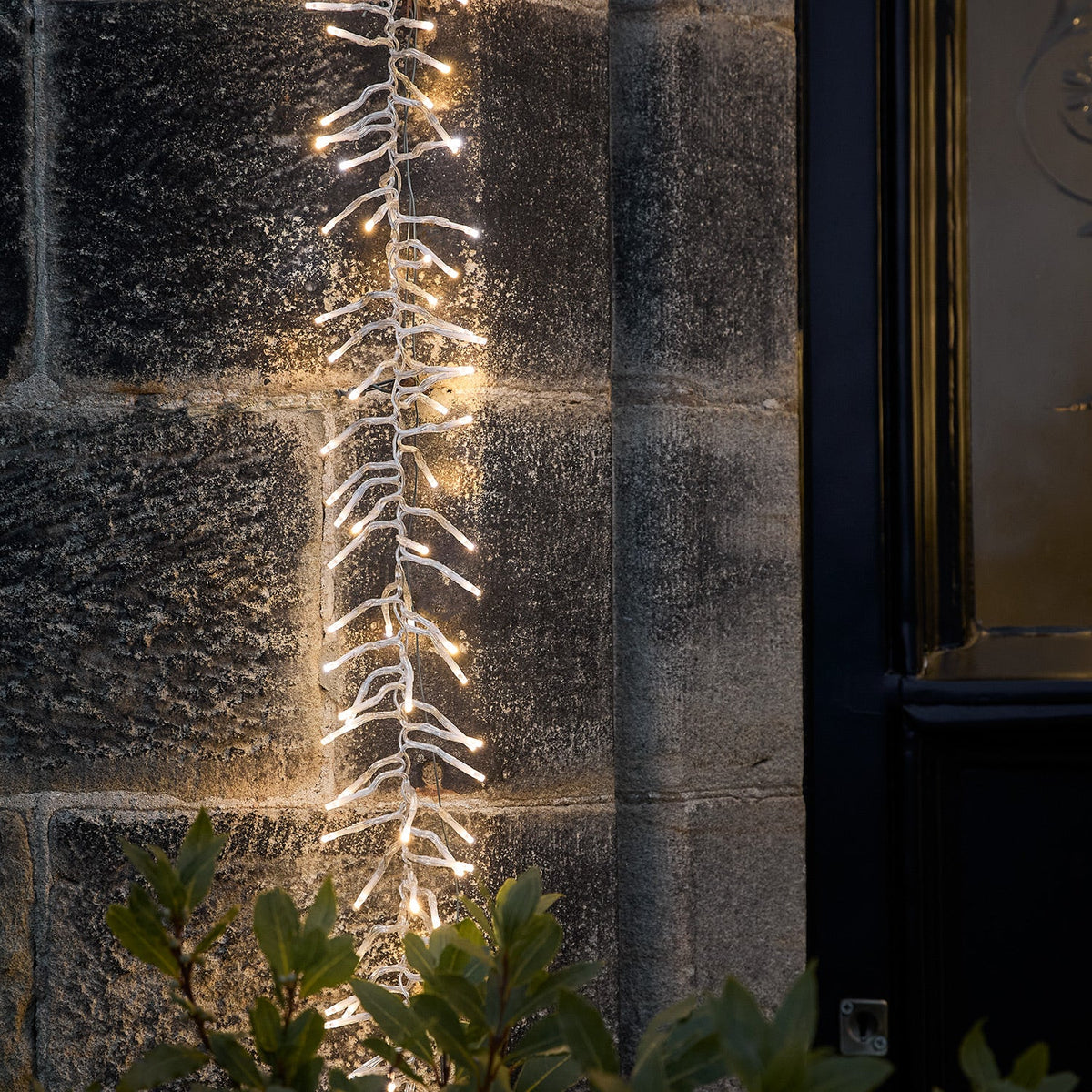 LED-Cluster-Lichterkette Bicolor – 5 m