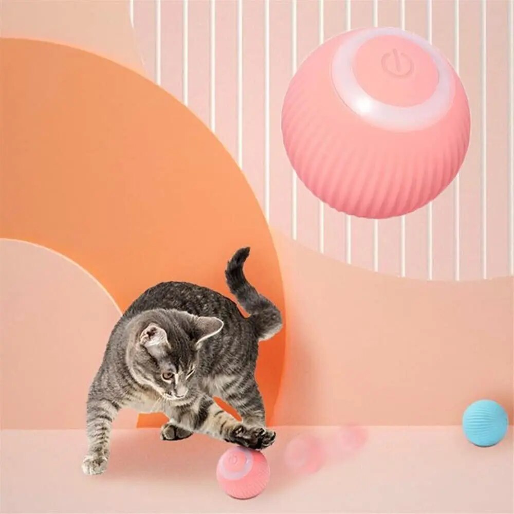 DogCatFri HuntingToy Draufsicht