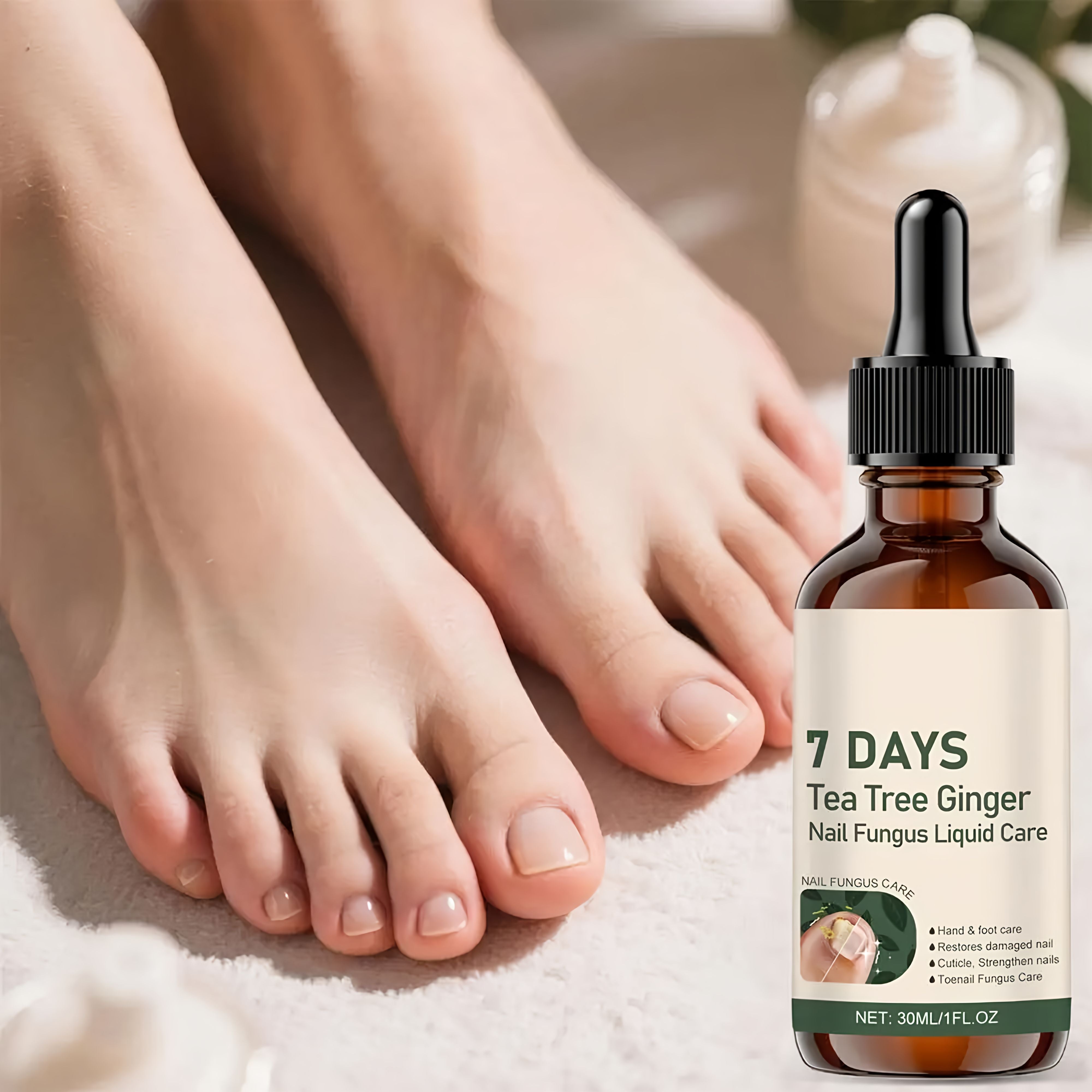 NailDrops, Gesamtansicht
