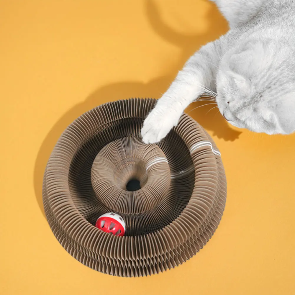 Weiße Katze greift von oben nach dem Ball in der Catfri FoldScratcher