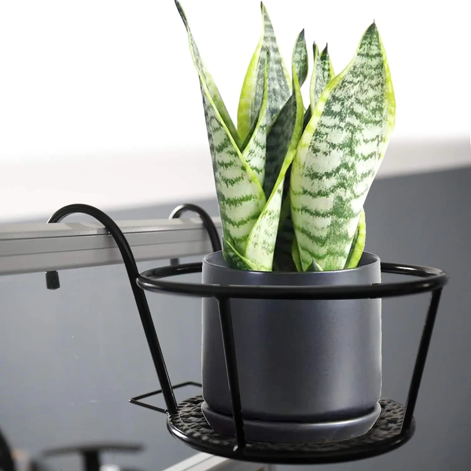 PlantBasket – Hängender Fensterpflanzenkorb, 2er Set