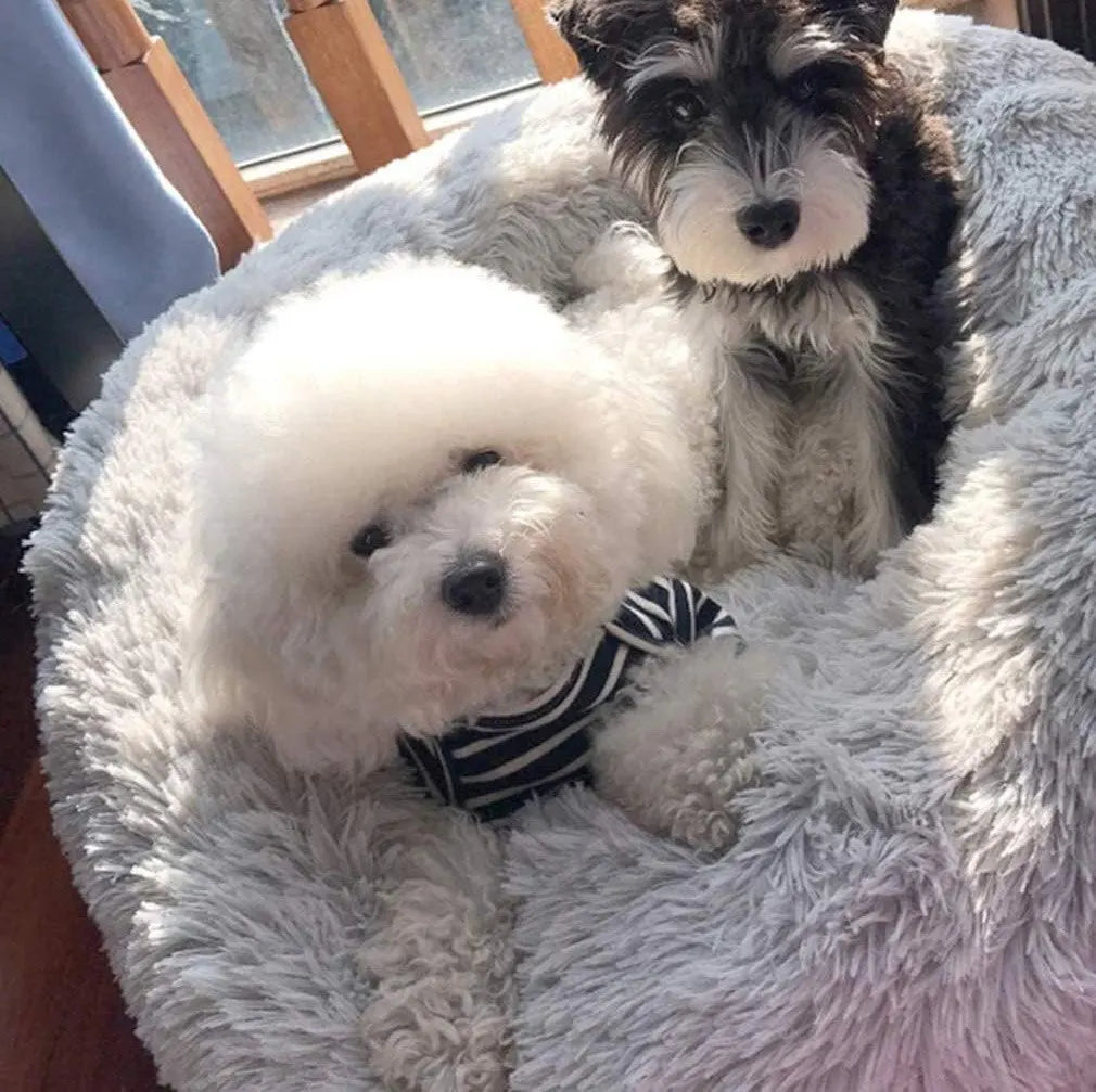FurryBed Haustierbett Rund, Beruhigend und Waschbar