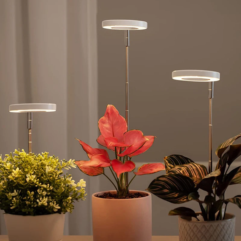 LED Pflanzenlampe für Zimmerpflanzen – Verstellbar
