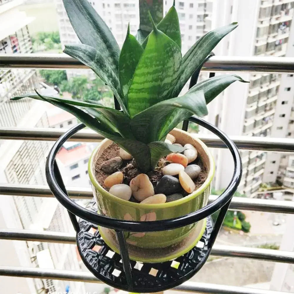 PlantBasket – Hängender Fensterpflanzenkorb, 2er Set
