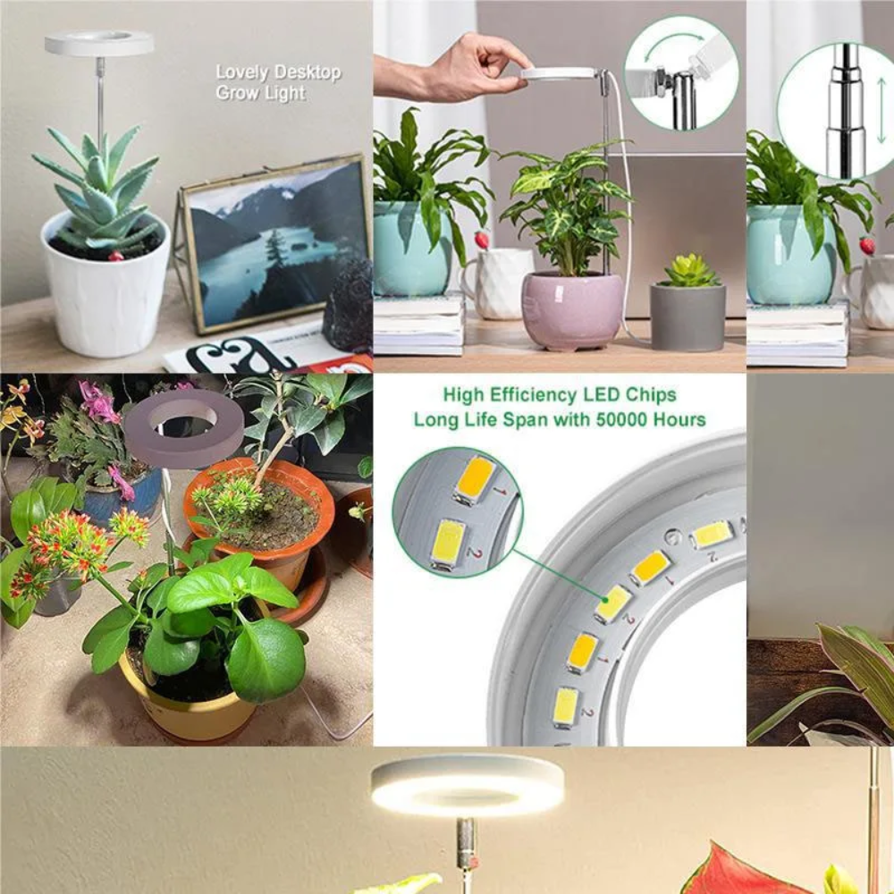 LED Pflanzenlampe für Zimmerpflanzen – Verstellbar