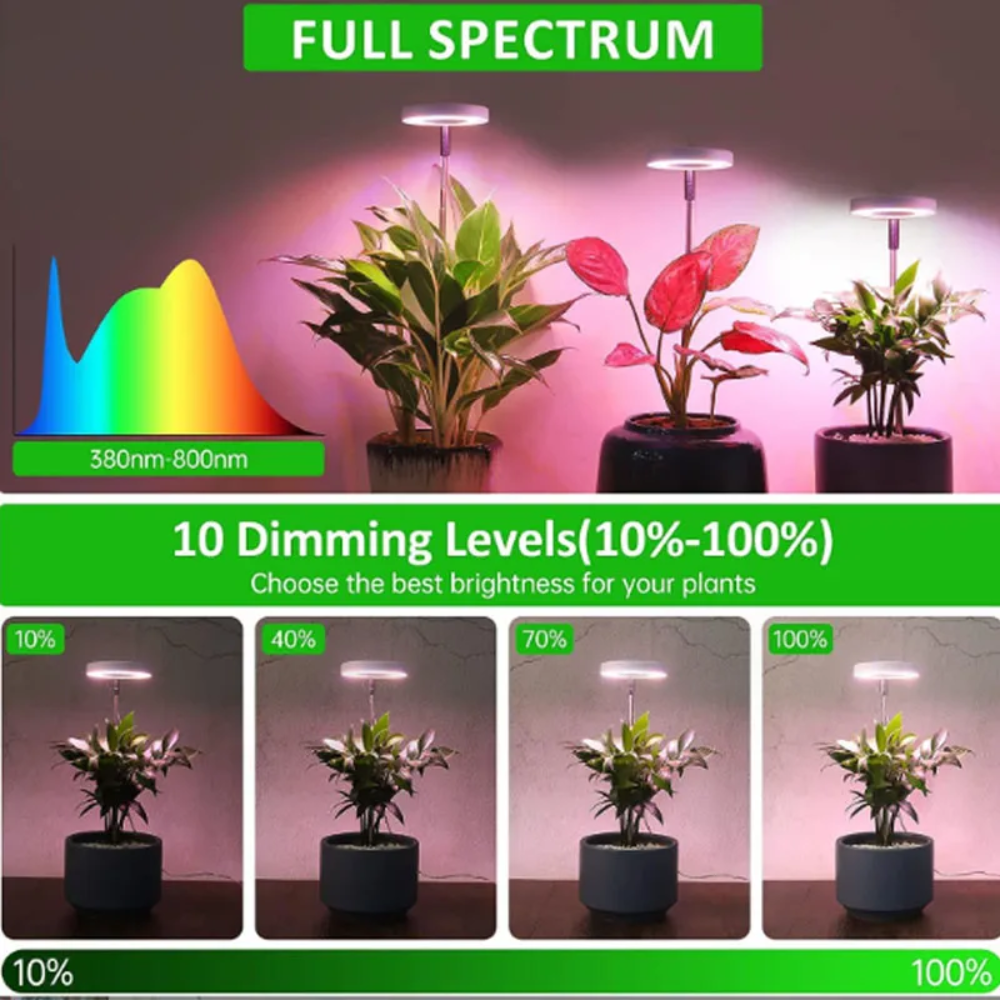 LED Pflanzenlampe für Zimmerpflanzen – Verstellbar