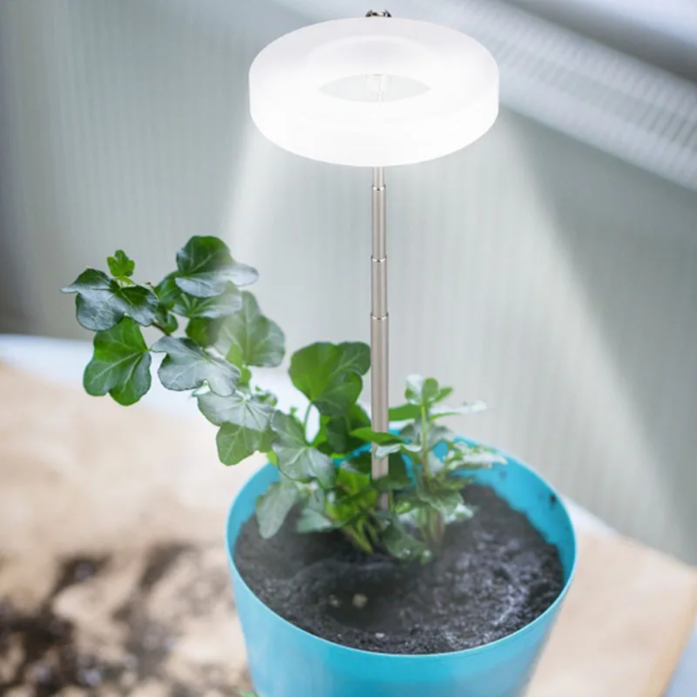 LED Pflanzenlampe für Zimmerpflanzen – Verstellbar
