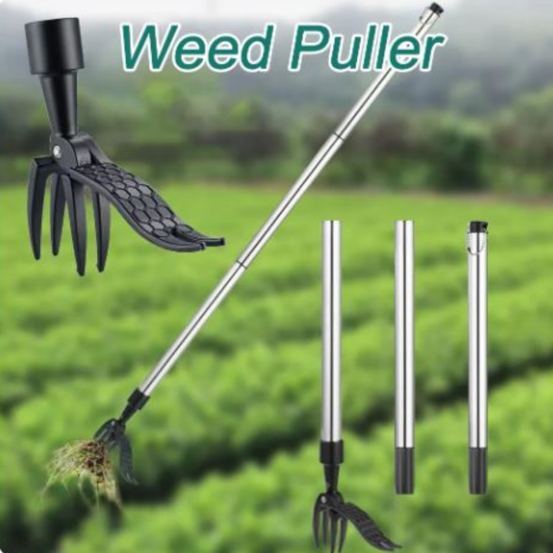 WeedPuller Unkrautstecher mit langem Griff