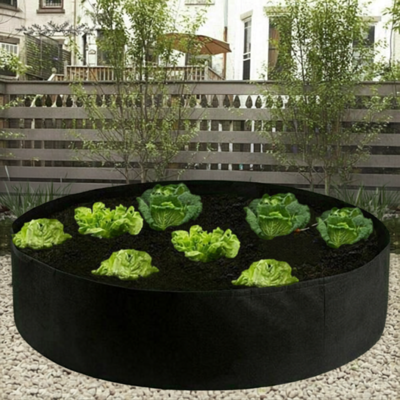 GardenBed Hochbeet mit Kohlpflanzen auf Terrasse mit Kiesboden