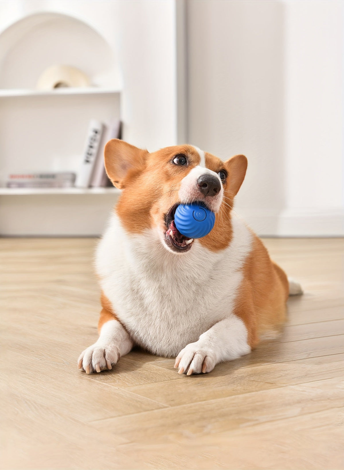 DogCatFri HuntingToy Detailansicht