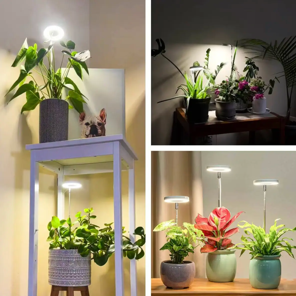 LED Pflanzenlampe für Zimmerpflanzen – Verstellbar