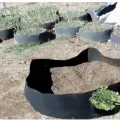 GardenBed Hochbeet aus Filz beim Befüllen und Bepflanzen