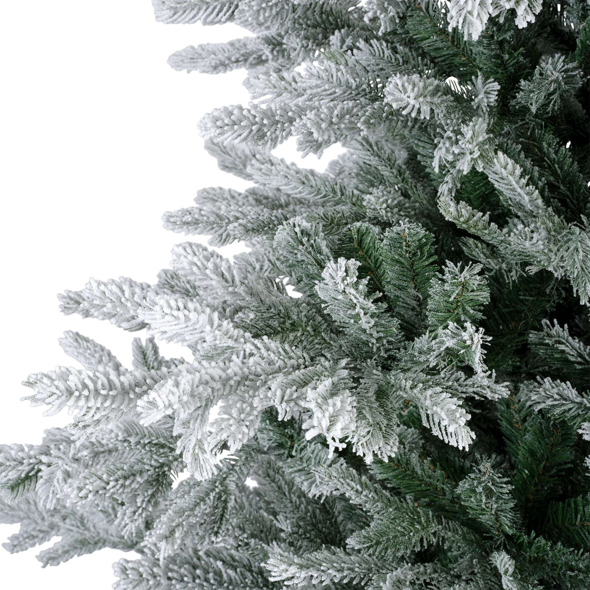 Premium Tanne "Grandis Fir" verschneit ohne Beleuchtung – 210 cm
