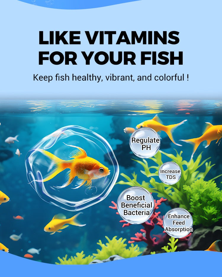 TankPurifier gesunde Fische