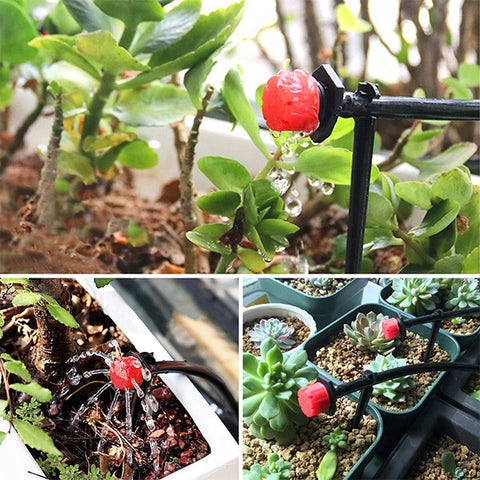 WaterDrippers Anwendung im Garten