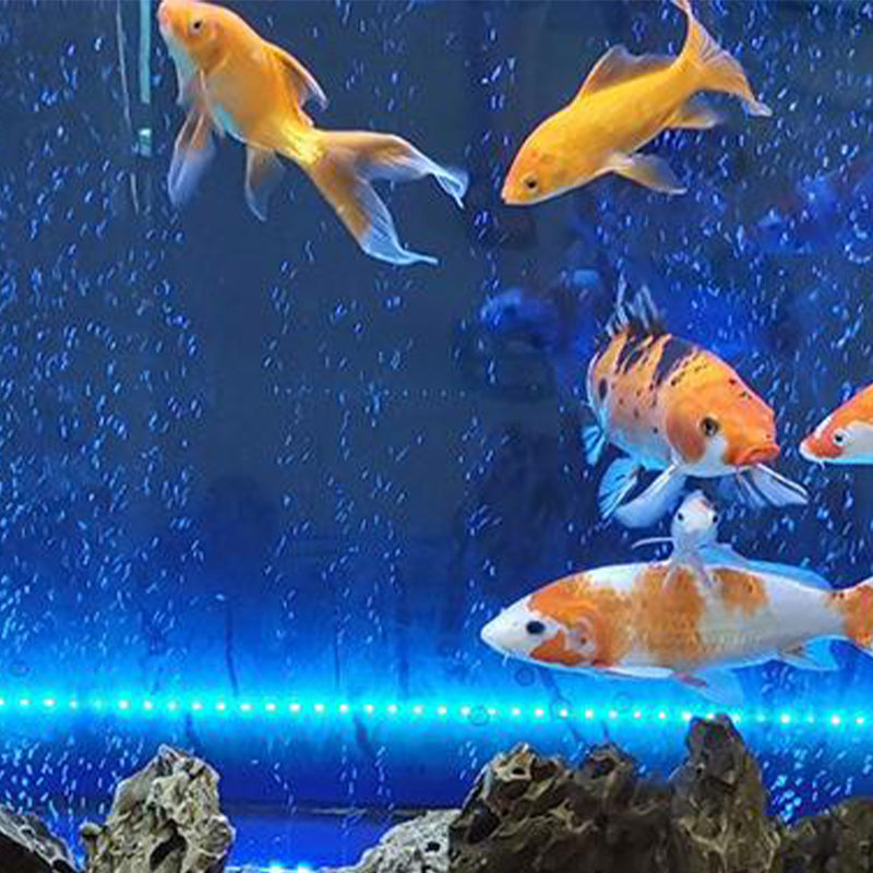 GlowBubble – LED-Aquarium-Blasenlicht, Mehrfarbig