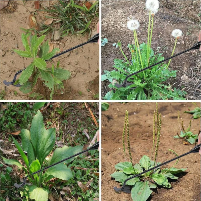 WeedRemover Anwendung im Garten